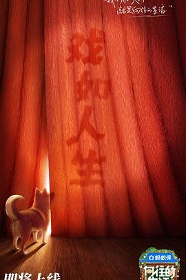 向往的生活 第八季 向往的生活 第八季