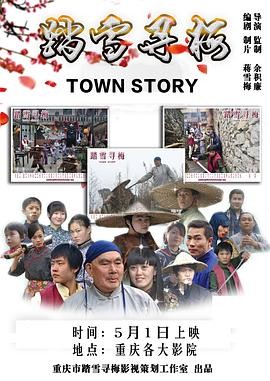 踏雪寻梅 踏雪寻梅